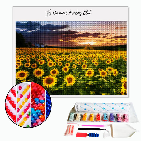 Diamond painting Sunflower Field | Diamond-painting-club.us