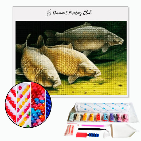 Diamond painting Carpe | Diamond-painting-club.us