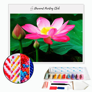 Diamond Painting Lotus Flower | Diamond-painting-club.us