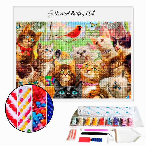 Diamond Painting Feline Company | Diamond-painting-club.us