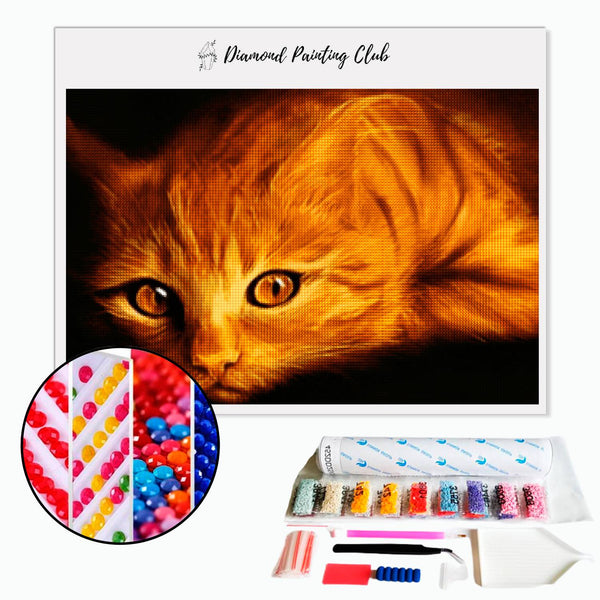 Diamond Painting Red Cat. | Diamond-painting-club.us