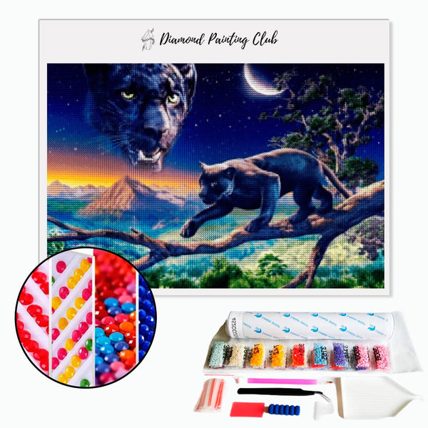 Diamond painting Black Panther | Diamond-painting-club.us