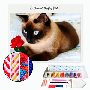 Diamond Painting Siamese Cat with a Rose | Diamond-painting-club.us