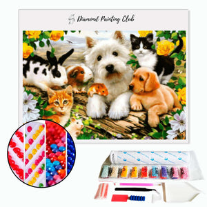 Diamond painting Pet Animals | Diamond-painting-club.us