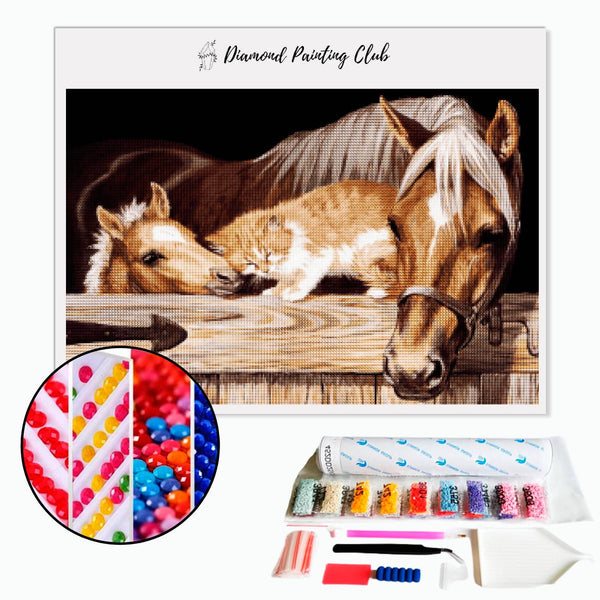 Diamond painting Foal & Kitten | Diamond-painting-club.us
