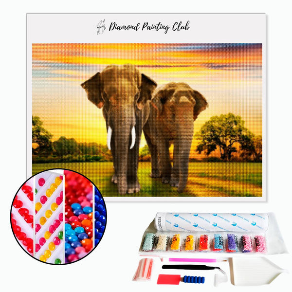 Diamond painting Elephant Couple | Diamond-painting-club.us