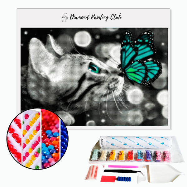 Diamond painting Chat & Papillon | Diamond-painting-club.us