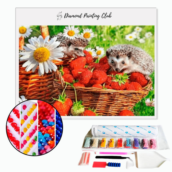 Diamond Painting Strawberry Basket & Hedgehog | Diamond-painting-club.us