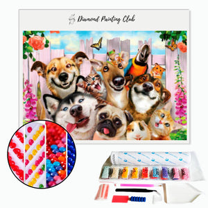 Diamond Painting Domestic Animals | Diamond-painting-club.us