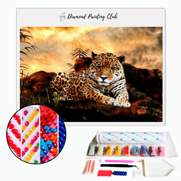 Diamond painting Leopard on a rock | Diamond-painting-club.us