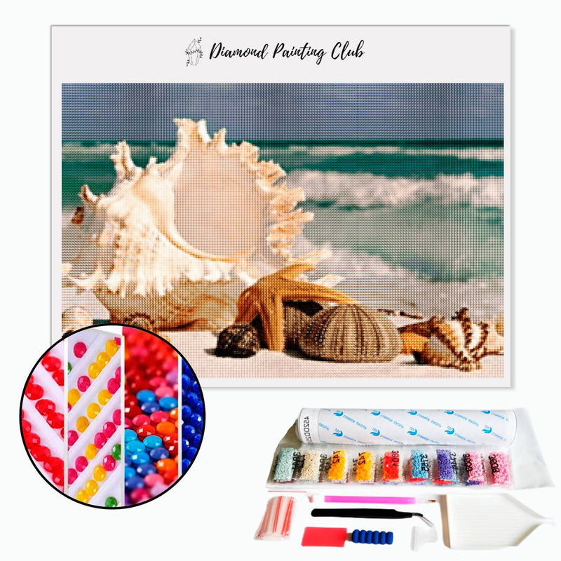 Diamond painting Seashell on the beach | Diamond-painting-club.us