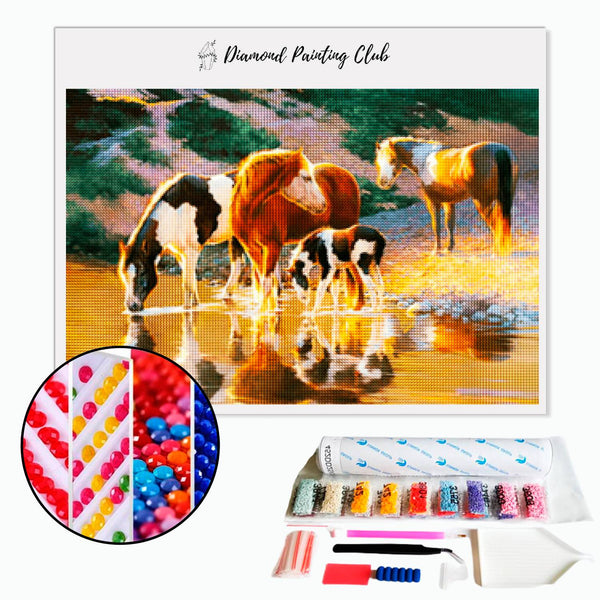 Diamond painting Horse Group | Diamond-painting-club.us