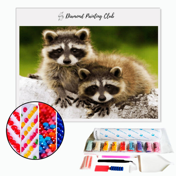 Diamond Painting Raccoon | Diamond-painting-club.us