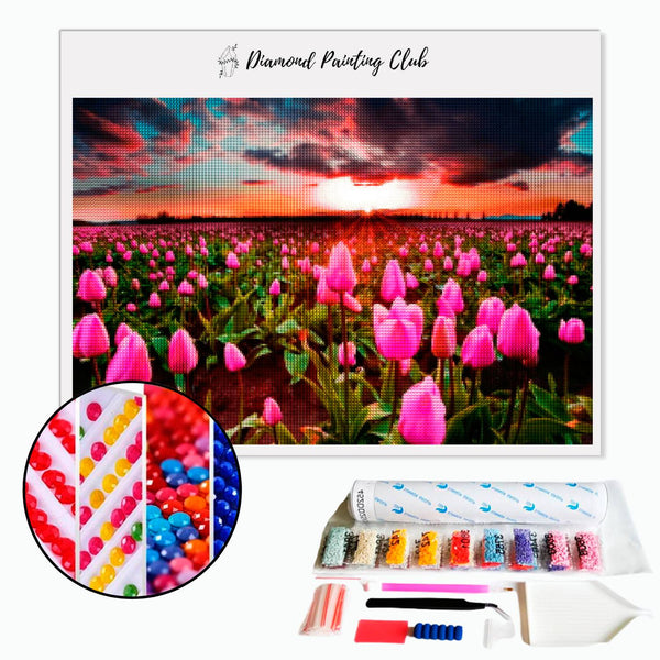 Diamond painting Tulip in bloom and sunset. | Diamond-painting-club.us