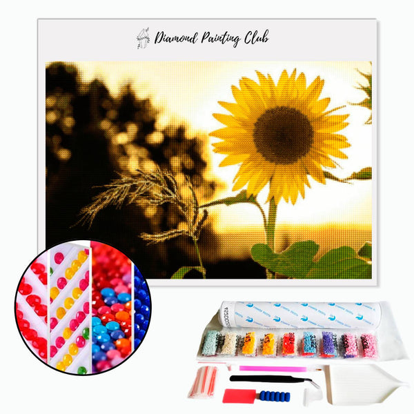Diamond Painting Sunflower Sunset | Diamond-painting-club.us