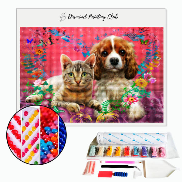 Diamond painting Cat & King charles | Diamond-painting-club.us