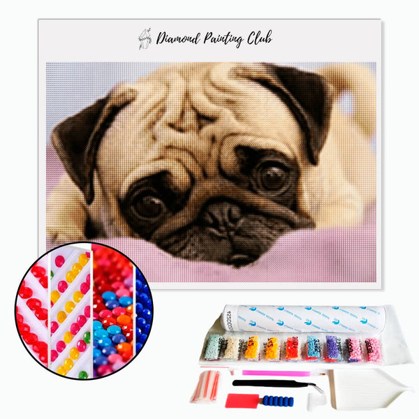 Diamond Painting Cute Pug | Diamond-painting-club.us