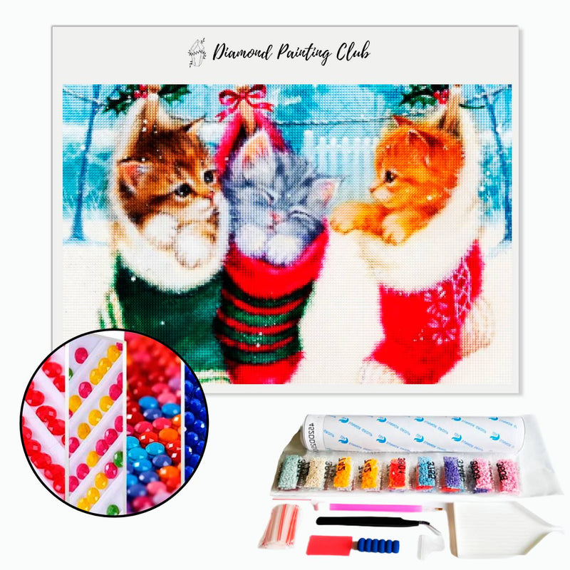 Diamond Painting Kittens in Socks | Diamond-painting-club.us