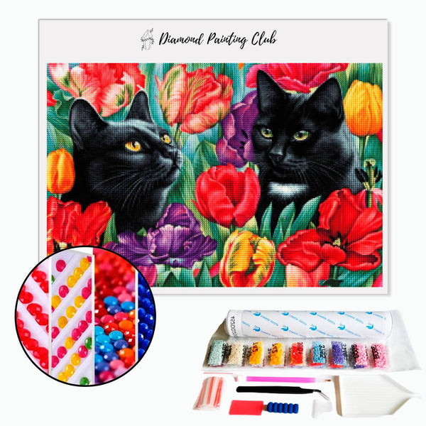 Diamond painting Tulips & Black Cats | Diamond-painting-club.us