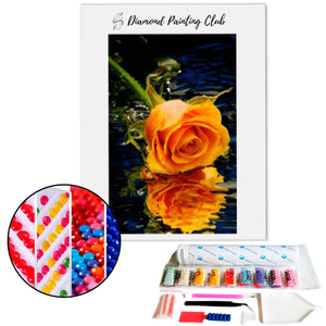 Diamond painting Orange Rose | Diamond-painting-club.us