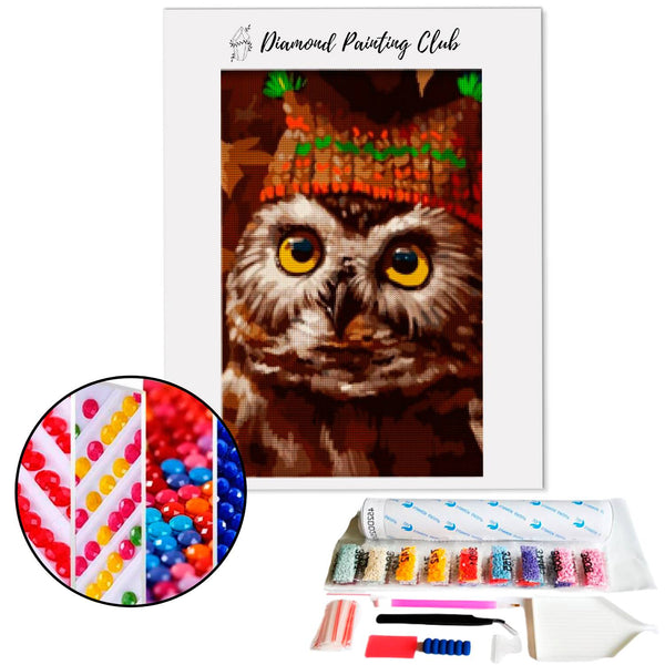 Diamond Painting Owl Hat | Diamond-painting-club.us