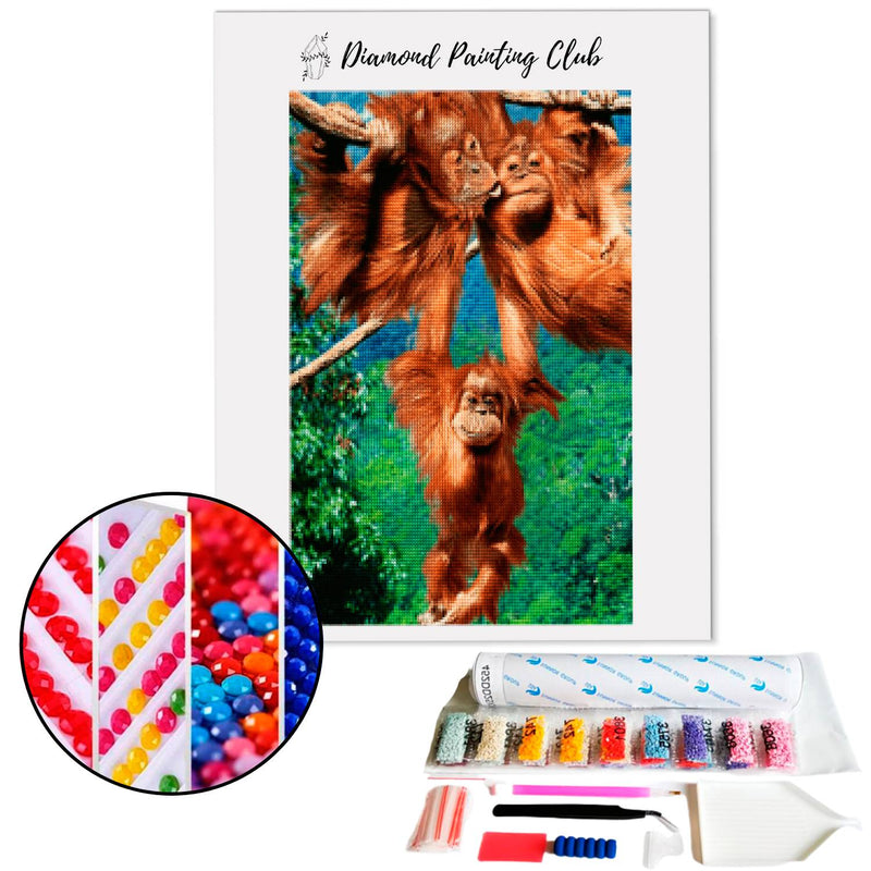 Diamond Painting Family of Orangutans | Diamond-painting-club.us