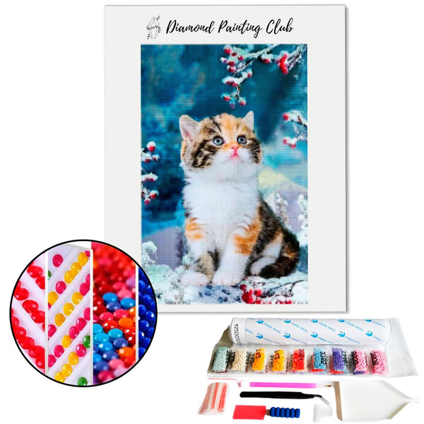 Diamond Painting Calico Kitten in the Snow | Diamond-painting-club.us