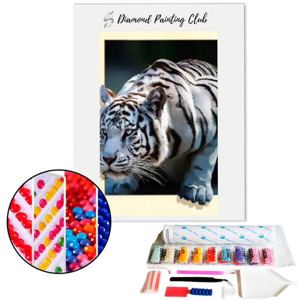 Diamond Painting White Tiger | Diamond-painting-club.us