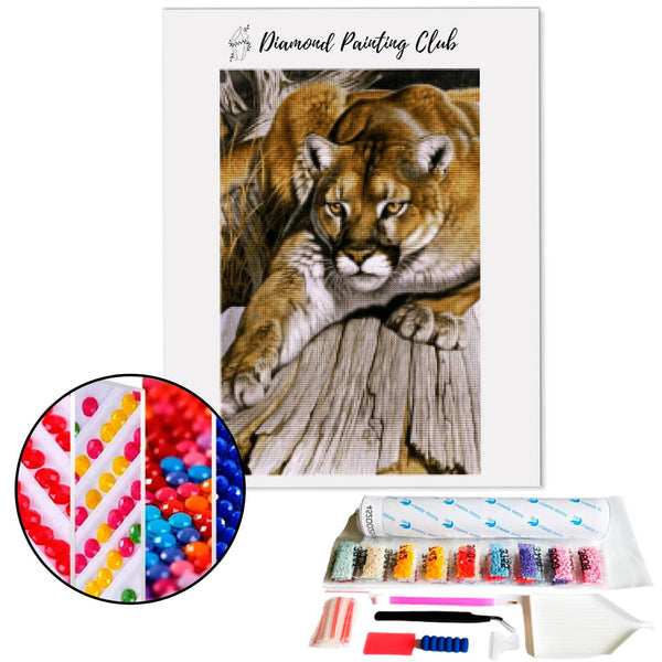 Diamond Painting Puma | Diamond-painting-club.us