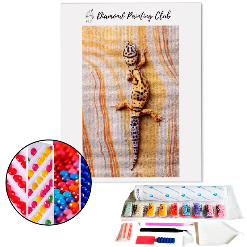 Diamond Painting Lizard on a Wall | Diamond-painting-club.us