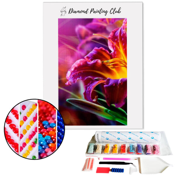 Diamond painting Yellow Purple Daylily | Diamond-painting-club.us