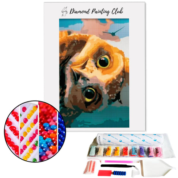 Diamond Painting Cuckoo Owl | Diamond-painting-club.us