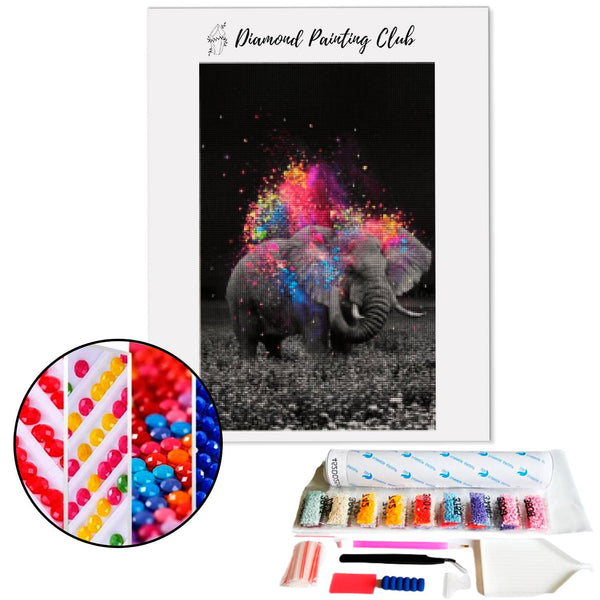 Diamond painting Elephant Colorful Chalk | Diamond-painting-club.us