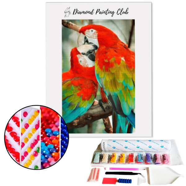 Diamond Painting Couple of Parrots. | Diamond-painting-club.us