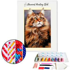 Diamond Painting Maine Coon | Diamond-painting-club.us