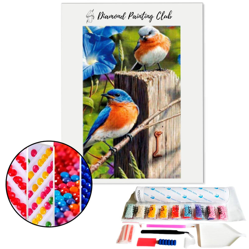 Diamond Painting Kingfisher Couple | Diamond-painting-club.us