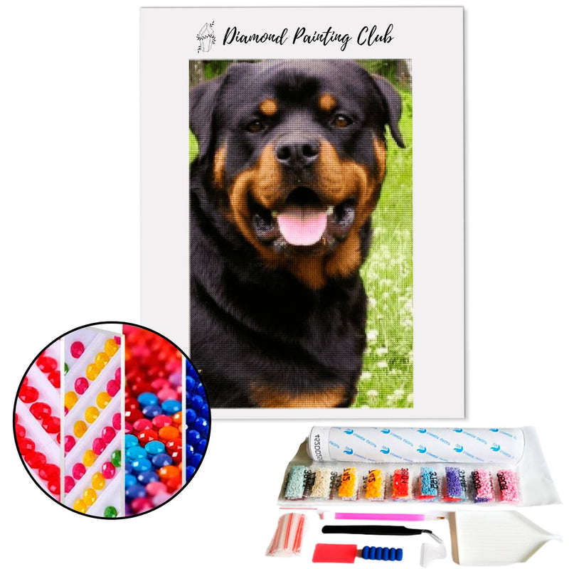 Diamond painting Rottweiler | Diamond-painting-club.us