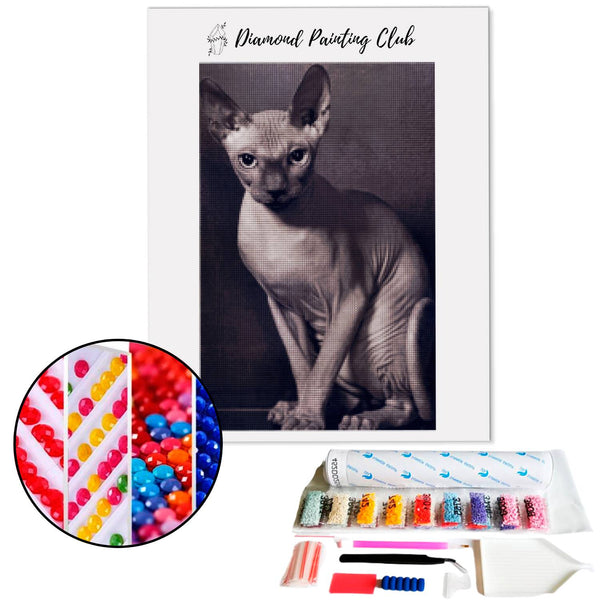 Diamond painting Sphinx Cat | Diamond-painting-club.us