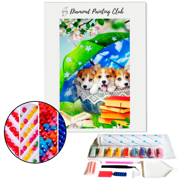 Diamond Painting Corgi Basket | Diamond-painting-club.us