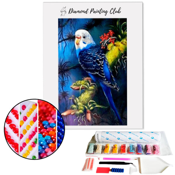 Diamond Painting Blue Parakeet | Diamond-painting-club.us