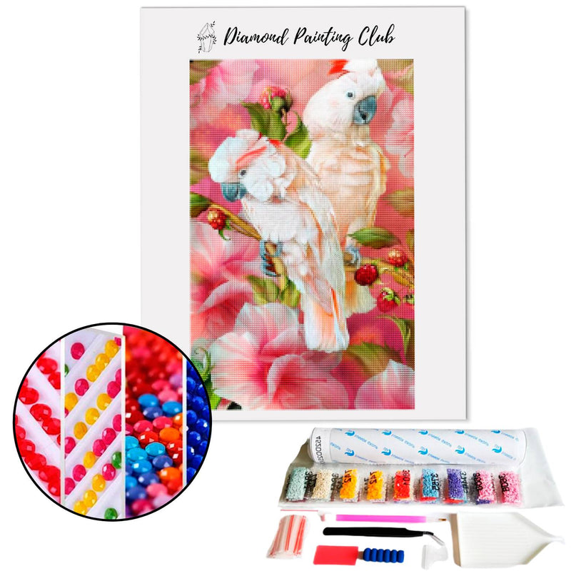 Diamond Painting Pink Albino Parrot | Diamond-painting-club.us