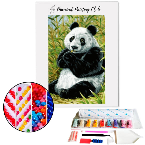 Diamond painting Simple Panda | Diamond-painting-club.us