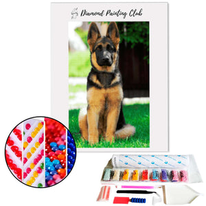 Diamond painting German Shepherd | Diamond-painting-club.us