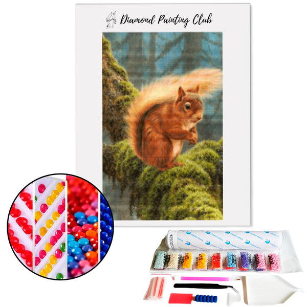 Diamond painting Red squirrel. | Diamond-painting-club.us