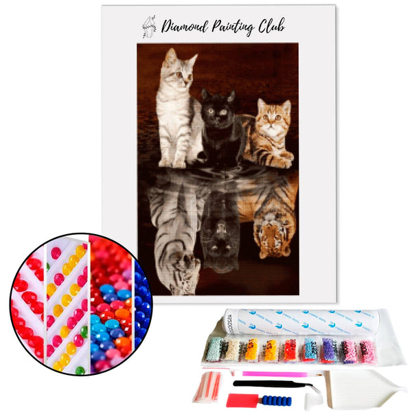 Diamond painting Kittens reflecting felines | Diamond-painting-club.us