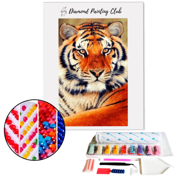 Diamond painting Bengal Tiger | Diamond-painting-club.us