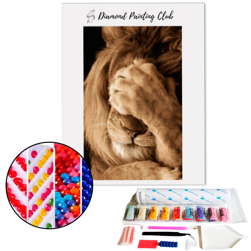 Diamond painting Lion hiding with its paw. | Diamond-painting-club.us