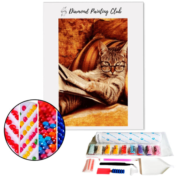 Diamond Painting Chat & Journal | Diamond-painting-club.us