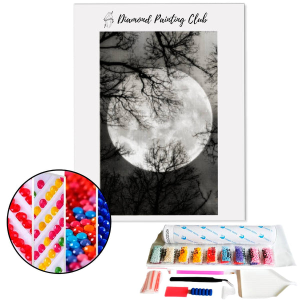 Diamond painting Gloomy Moon | Diamond-painting-club.us