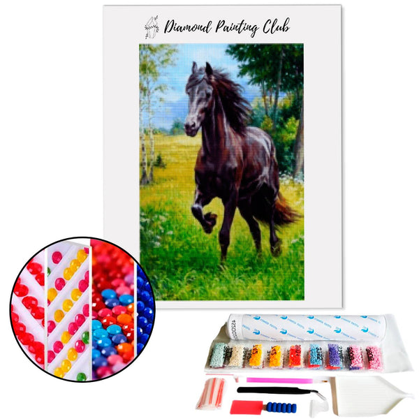 Diamond Painting - Trotting Black Horse | Diamond-painting-club.us